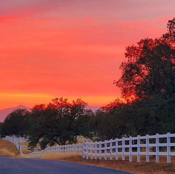 Meet your Posher, Candice - Picture 1 of 1